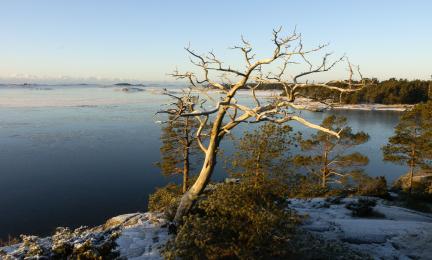 Korkealta kuvattu maisema merelle.