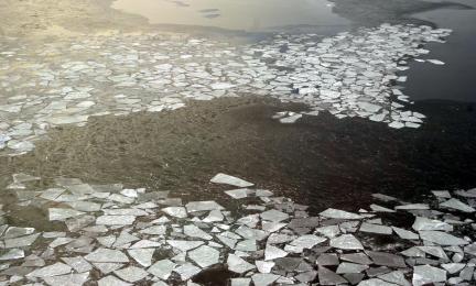 Ilmakuva jäälautoista merellä.