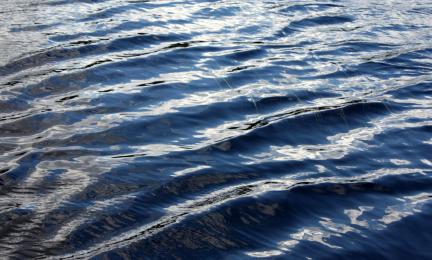 Vedenpinta, kuva Roine Piirainen, Kuvia Suomesta -kuvapankki.