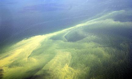 Ilmakuvassa sinileväkukintaa Itämerellä.