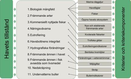 Kvalitativa deskriptorer är bl.a. biologisk mångfald, främmande arter, kommersiella fiskbestånd, näringsväv, eutrofiering, havsbottnens integritet, hydrografiska förändringar, skadliga ämnen i miljön, skadliga ämnen i livsmedel, nedskräpning och undervattensbuller. Deras komponenter omfattar marina däggdjur, havsfåglar, fisk, öppna havets livsmiljöer, främmande arter, kvoterade fiskbestånd, trofiska gilder, eutrofieringsindikatorer, bottenhabitat, förändringar i vattenströmmar, toxiner, skräp och buller. 