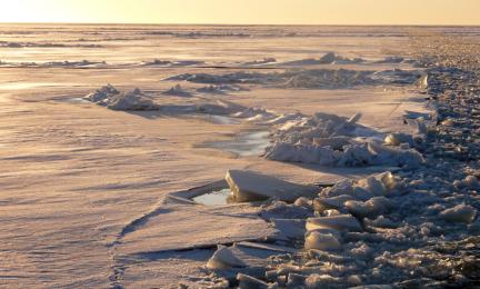Lohkeillutta jäätä
