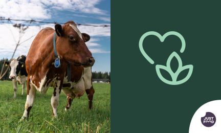 Lehmä pellolla ja symboli, jossa näkyy sydän ja vilja.